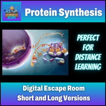 Protein Synthesis Digital Escape Room Perfect For Distance Learning