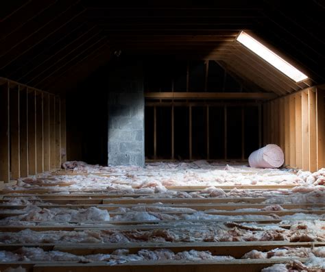 Attic Mold Inspection Services Msr Restoration