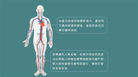 您的心脑血管报告，请查收！ Zclive