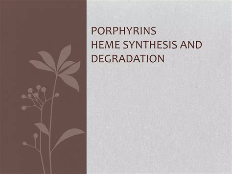 Heme Synthesis And Degradation Ppt