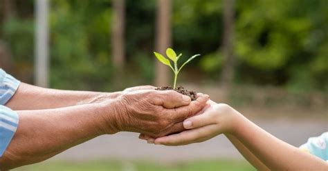 4 Diferentes Maneras De Ayudar Al Medio Ambiente Amigos Del Ambiente