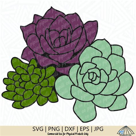 Succulent Cluster Svg Succulent Svg Plant Svg Succulent Etsy