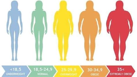 Body Fat Percentage, Not Body Mass Index