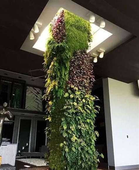 Contoh Desain Taman Vertikal Vertical Garden Yang Sederhana And Mudah