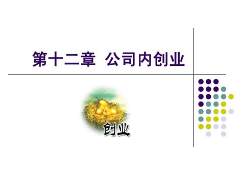 Chp12第十二章 公司内创业word文档在线阅读与下载无忧文档