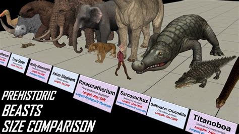 Prehistoric Animals Chart