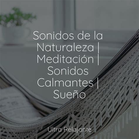 Sonidos De La Naturaleza Meditaci N Sonidos Calmantes Sue O