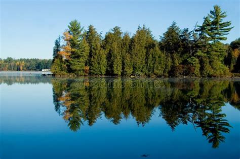 Lake With Pine Trees Stock Image Image Of Scenic Trees 1359467