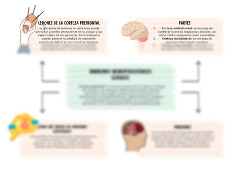 Solution S Ndromes Neuropsicol Gicos Studypool