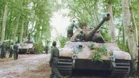 Field Camouflage Of The Panzers Foliage And Camouflage Netting On