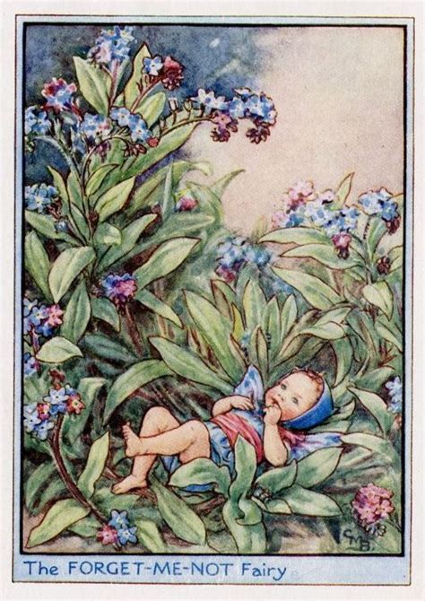 Forget Me Not Flower Fairy Vintage Print C 1950 Cicely Mary Barker