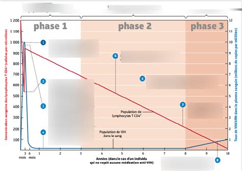 Diagram Of Volution De L Infection Par Le Vih Quizlet