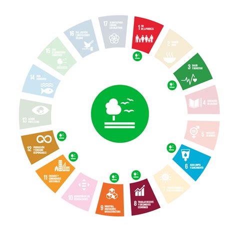 Objetivo De Desarrollo Sostenible Vida De Ecosistemas Terrestres