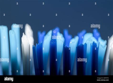 Details Of Blue And White Toothbrush Hair Bristles Horizontally Stock