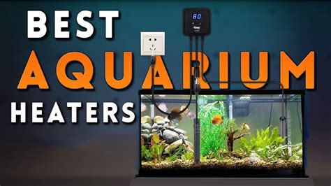 Best Aquarium Heaters In Top Aquarium Heaters Review Buying