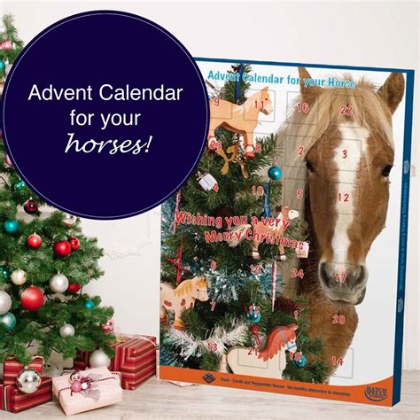 Horse And Rider Advent Calendar - Kara Eleonora