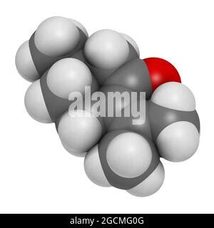 Pulegone Molecule 3D Rendering Atoms Are Represented As Spheres With