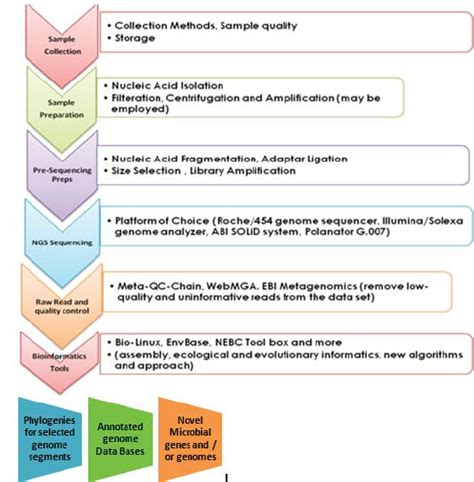 Bioinformatics Tools In The Metagenomics Pipeline