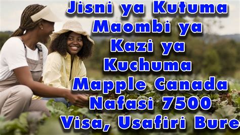 Jinsi Ya Kutuma Maombi Ya Kazi Za Kuchuma Maapple Nchini Canana