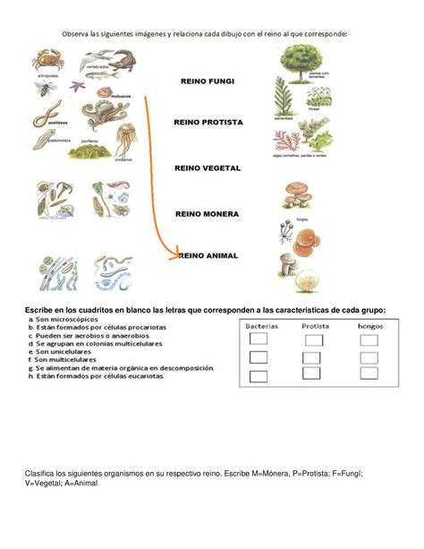 Guia De Repaso De Ciencias Naturales Los Seres Vivos Images The Best Sexiz Pix