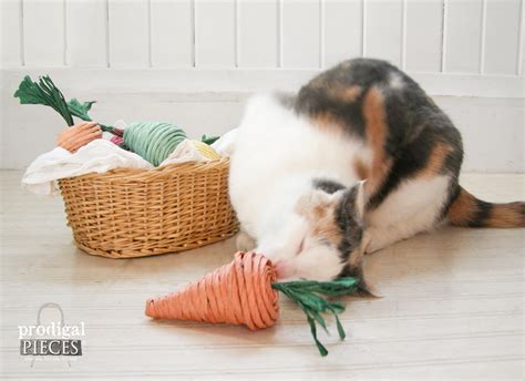 Natural Cat Toys You Can DIY Easy - Prodigal Pieces