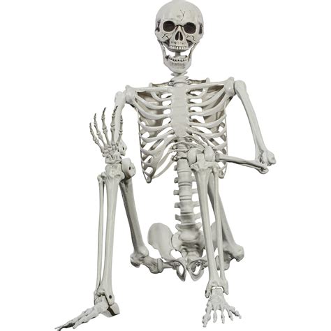 Buy Halloween Posable Skeleton 165cm Realistic Life Size Human