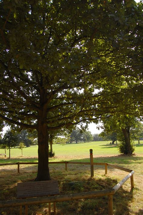 Elizabeth Is Oak Tree Legend Has It That Elizabeth Was Sitting Here