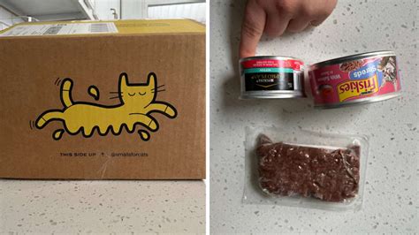 Smalls cat food review: Is the wet food any good for cats? - Reviewed