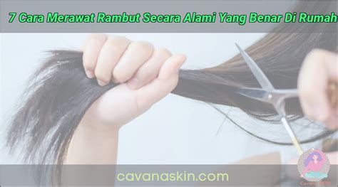 merawat rambut secara alami  benar  rumah skincare