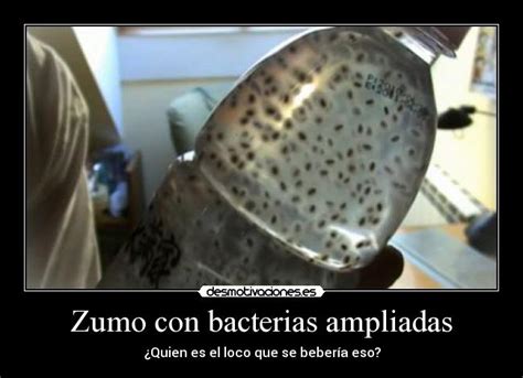 Im Genes Y Carteles De Bacterias Pag Desmotivaciones