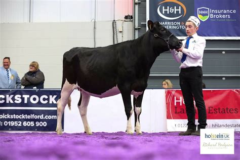 Walnutlawn Sidekick Daughter Claims Top Prize At UK Dairy Expo