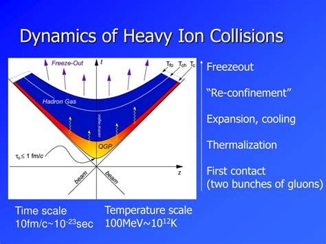 Ppt Qgp And Dynamics Of Relativistic Heavy Ion Collisions Powerpoint