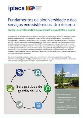 Fundamentos Da Biodiversidade E Dos Servi Os Ecossist Micos Um Resumo