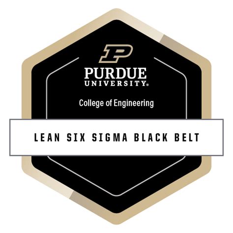 Lean Six Sigma Black Belt Credly