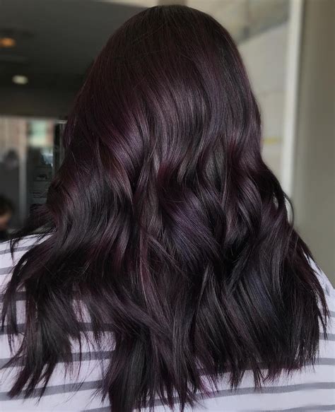 Violet Black Hair Color Plum Black Hair Purple Brown Hair Hair Color For Brown Skin Black