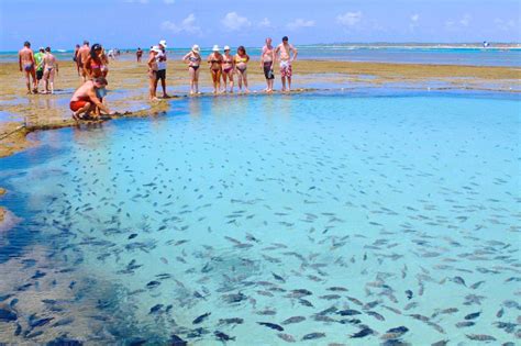 Melhores Praias De Porto De Galinhas As Mais Bonitas Calmas E Famosas