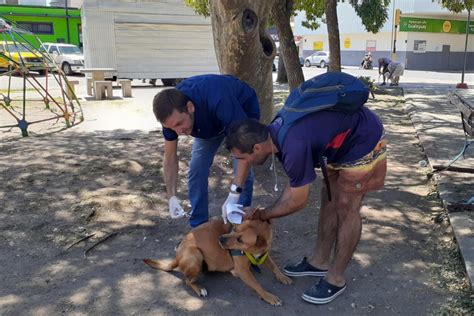 Campaña De Vacunación Y Desparasitación Municipalidad Gualeguaychú Entre Ríos Argentina