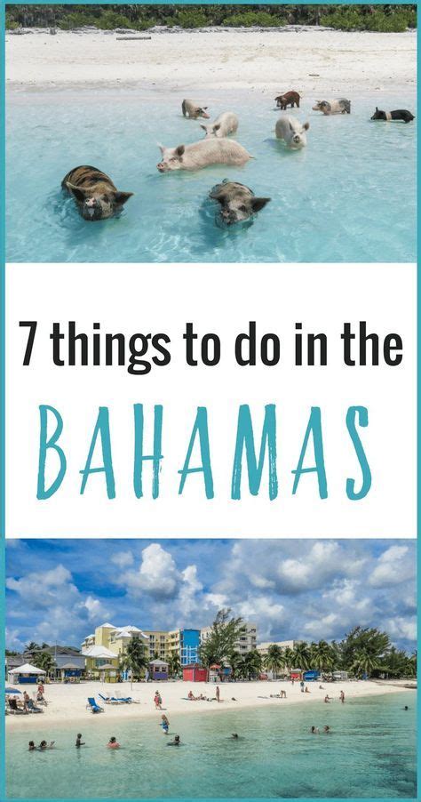 Planning a trip to the Bahamas? Don't miss these 7 amazing things to do in the Bahamas that will ...