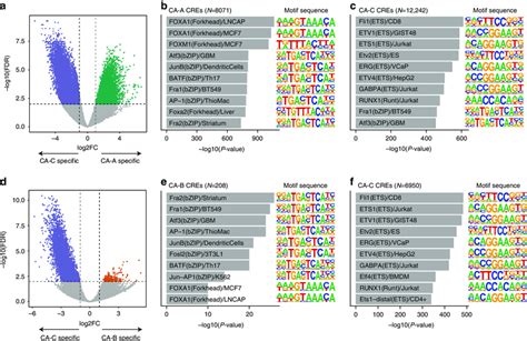 Difference In Chromatin Accessibility Between Ca C And Other Tumours A