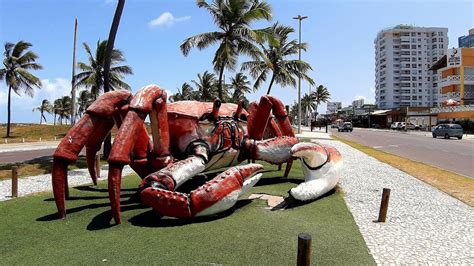 Passarela Do Caranguejo é Point Gastro Viagem E Turismo