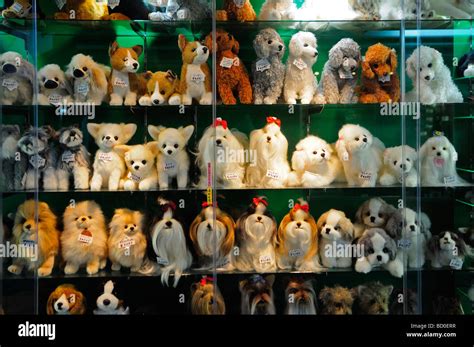 A Display Of Stuffed Dog Toys For Sale In A Shop Tokyo Japan Stock