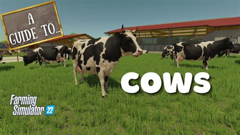 A Guide To Cows In Farming Simulator Ps Fs Youtube