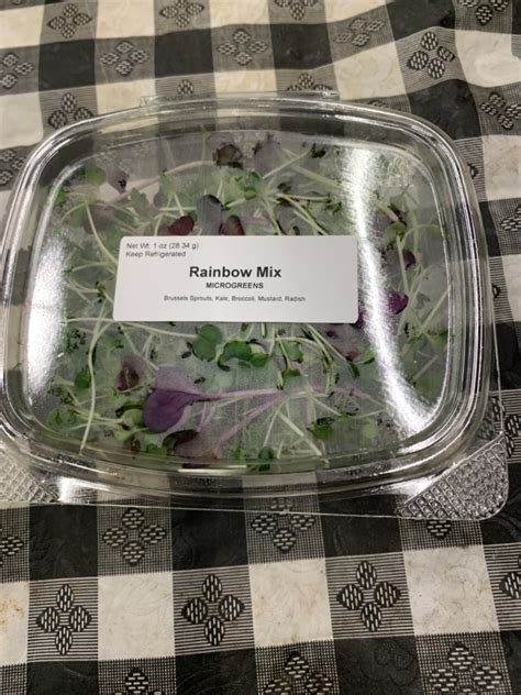 Rainbow Mix Of Microgreens Market Wagon Online Farmers Markets