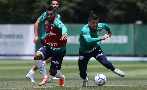 Palmeiras Se Reapresenta Veja Fotos Gazeta Esportiva