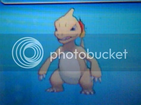 Shiny Charmeleon Pictures, Images & Photos | Photobucket