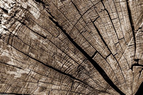 Brown Tree Trunk Wood Wooden Surface Pattern Texture Hd Wallpaper