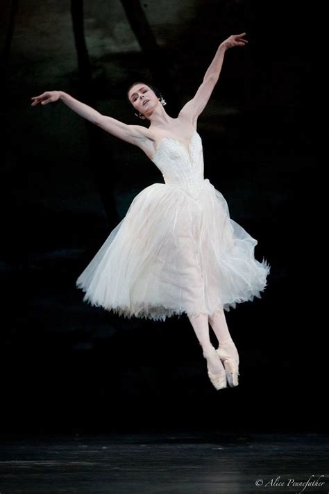 Natalia Osipova In Giselle Dance Photography Ballet Giselle Dance Art