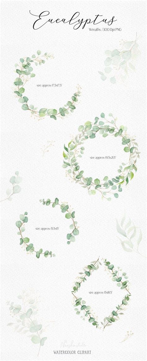 Watercolor Eucalyptus Wreath Clipart Greenery Wreath Png Watercolor