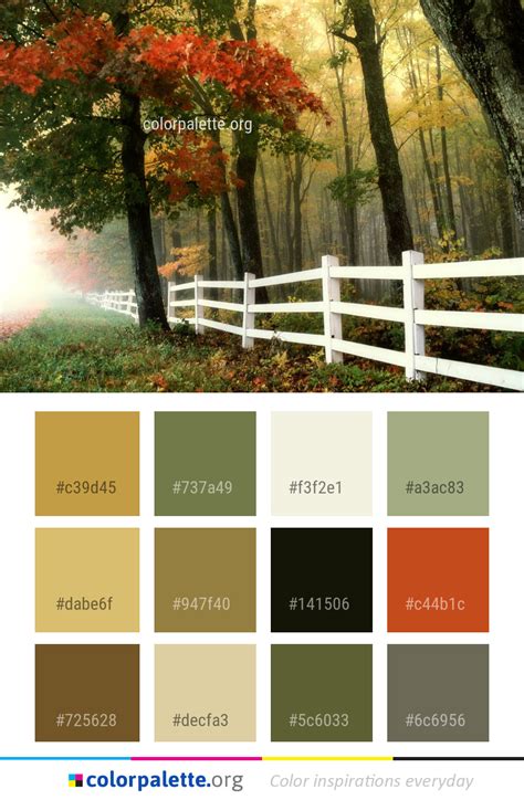 Autumn Leaves Color Palette Color Palette Ideas From Nature Autumn