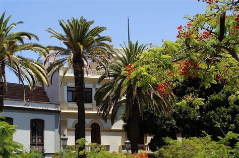 Santa Cruz De Tenerife Em Maio 2025 Clima Tempo E Temperatura Em